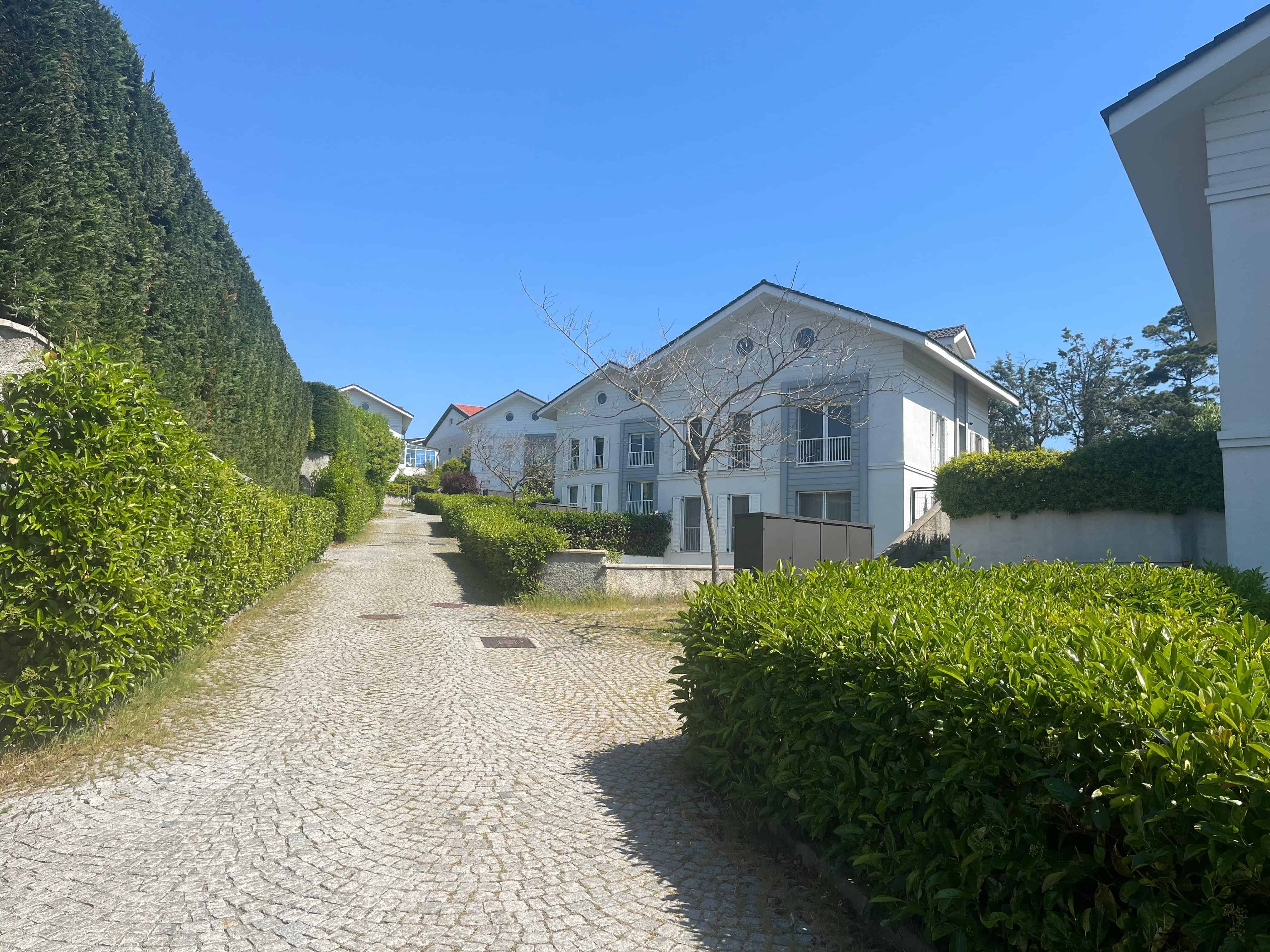 Görsel 3